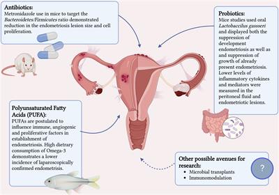 Frontiers The bidirectional relationship between endometriosis